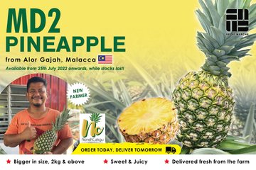 thumb-Pineapple MD2