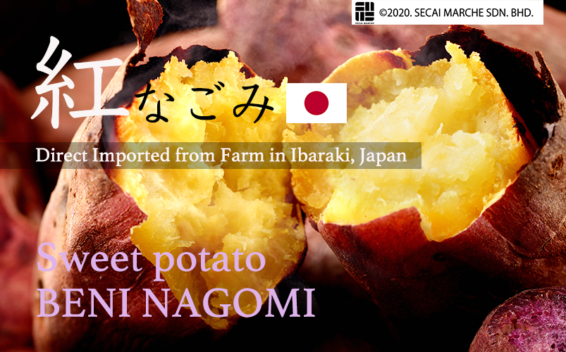 Japanese Sweet Potato Beni Nagomi