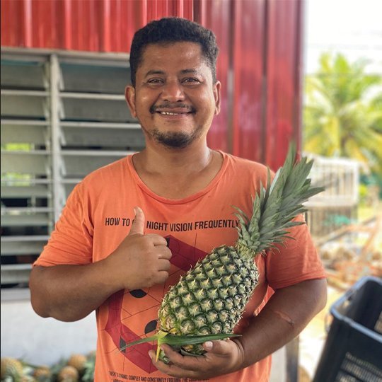 NonehCekgu: The Sweet Secrets of  MD2 Pineapples