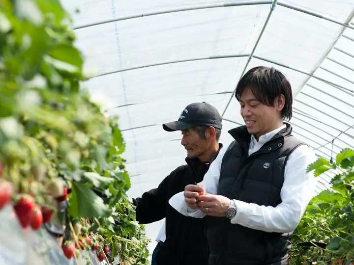 GRA: Unveiling Japan’s Jewel of the Berry World – Migaki Strawberry