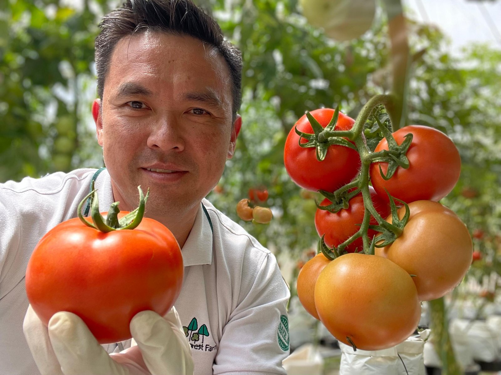 Cultivating Abundance: A Look Inside Food Forest Farm   