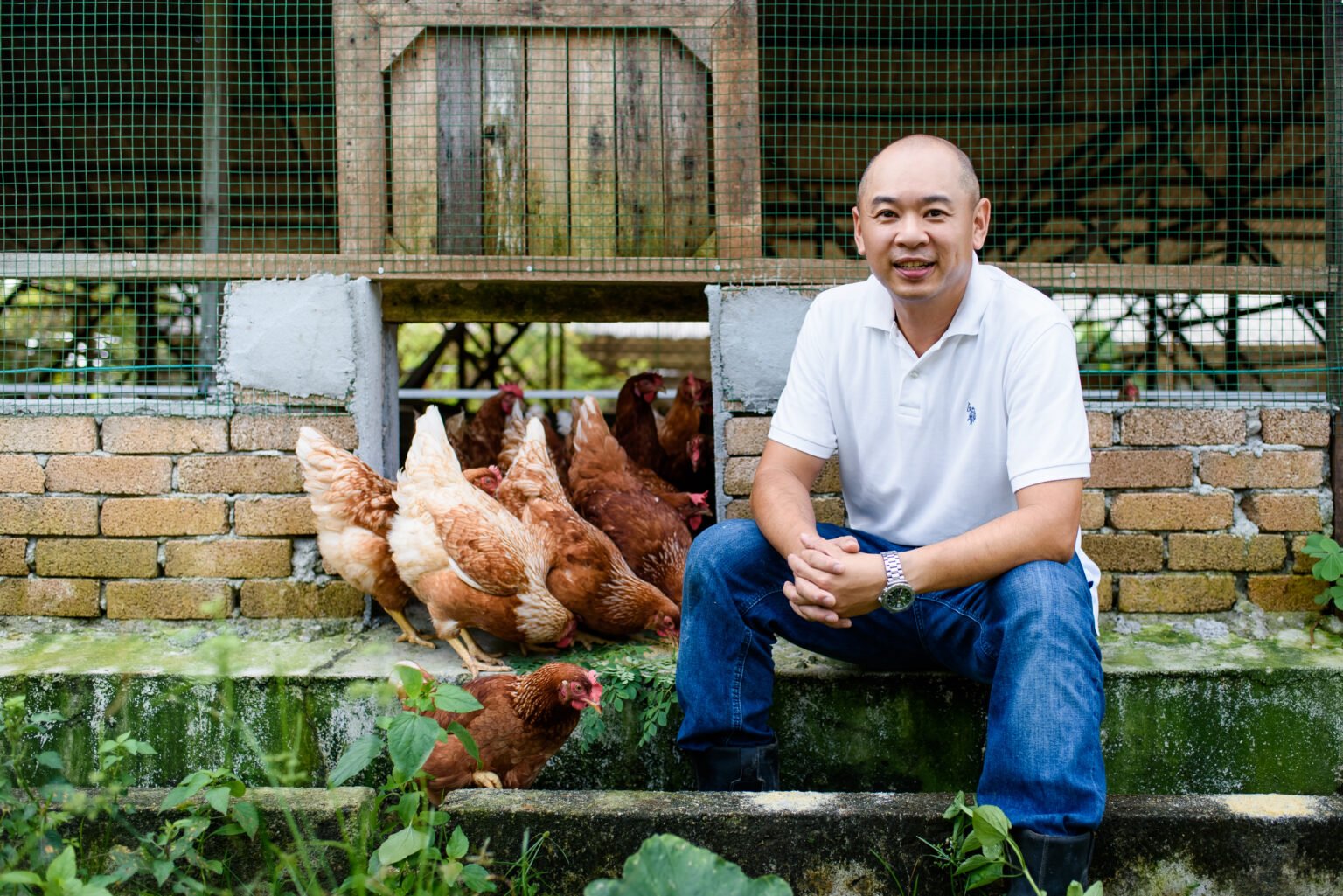 Liang Kee Fresh Eggs: Happy Hens Lay The Healthy Eggs